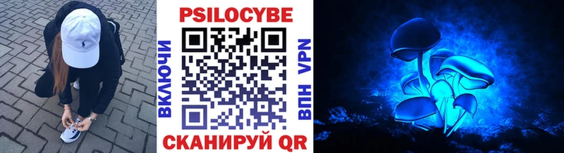 Псилоцибиновые грибы Magic Shrooms  Купить закладки  Бугульма 